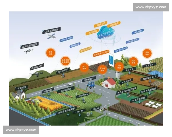 以长远发展为核心打造可持续竞争优势的战略布局与实施路径分析