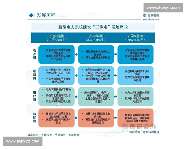 版本强势主导市场格局解析与未来趋势深度研究